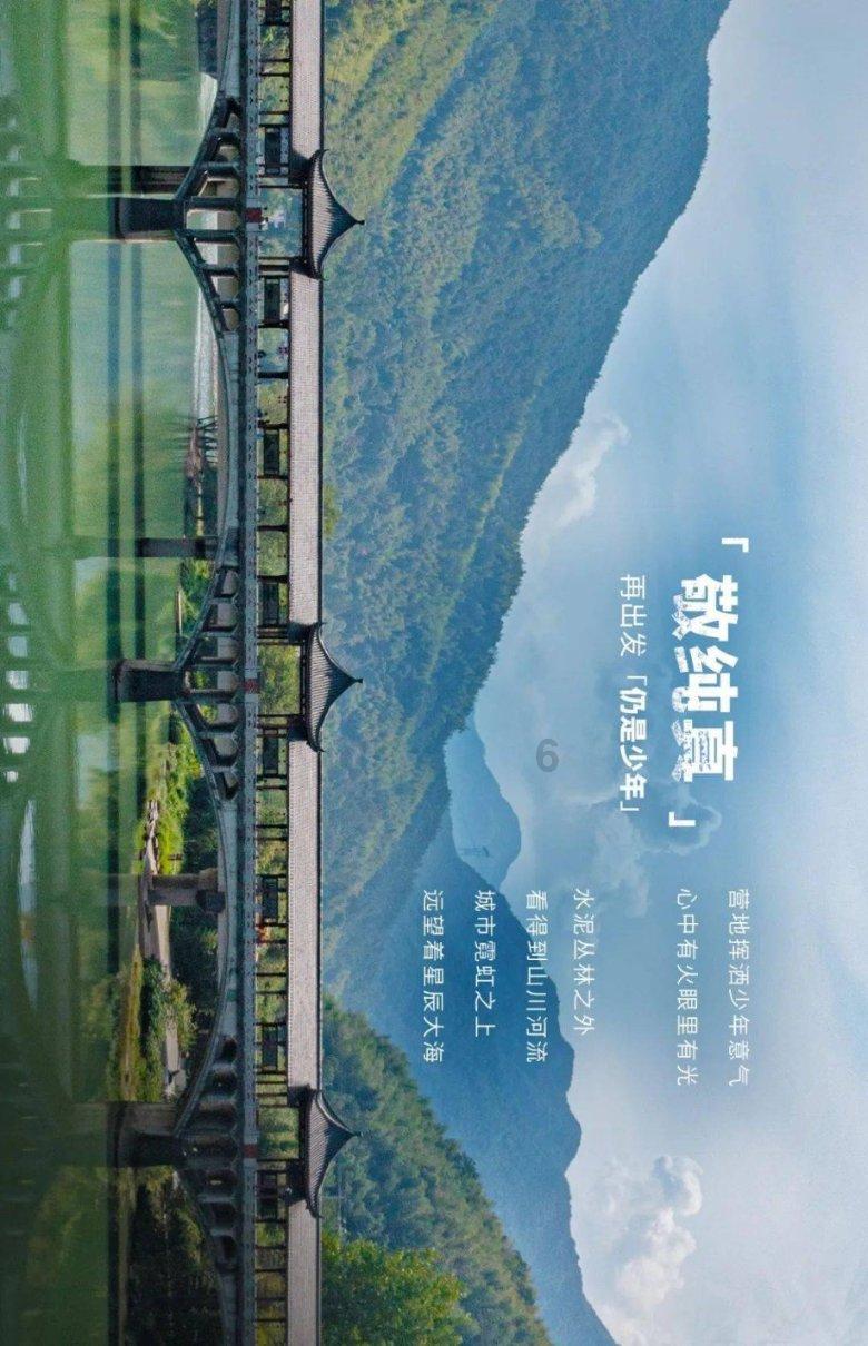 鸟鸣攻击