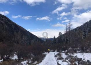 703分高考状元李泰伯,被海外11所名校拒收,这真是教育的失败吗