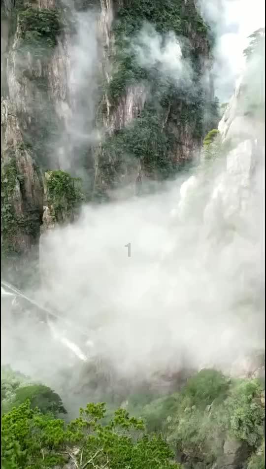 怪物猎人世界